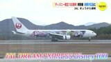 JALが運航「ディズニー創立100周年」特別機　初便が広島に　エルサやウッディは初登場【動画ニュース】　|　RCC NEWS | 広島ニュース | RCC中国放送