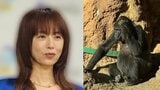 【 高岡早紀 】 「ゴリラに会ってきたよ」子育て時代を懐かしむ上野動物園で過ごした微笑ましいひととき|TBS NEWS DIG