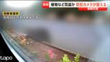 【犯行の瞬間とみられる映像を公開】アカジソやシルバータイムなどを女が盗む 周辺で植物が盗まれる被害が数十件あり 宮城・石巻市|TBS NEWS DIG
