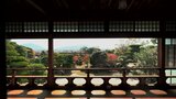 旧毛利家本邸からの眺め【山口の紅葉2022】 | 山口のニュース・天気・防災|tys NEWS|tysテレビ山口