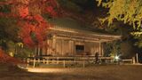 国宝・富貴寺大堂で紅葉ライトアップ開始　幻想的な秋の夜を演出　大分・豊後高田市|TBS NEWS DIG