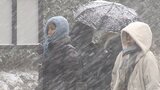 “最強寒波”到来 中津市で7センチの積雪、交通事故相次ぐ 公立学校で98校休校 | 大分のニュース|OBS NEWS|大分放送