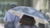 【速報】全国で今年初の「猛暑日」に 岐阜県揖斐川町で35.1度 東海地方で5月の猛暑日は統計史上初 | 名古屋・愛知・岐阜・三重のニュース【CBC news】 | CBC web