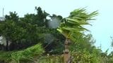 台風6号 奄美地方は夕方に暴風域 九州南部が梅雨入り|TBS NEWS DIG