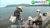 「このままでは7月中旬に貯水率0%に」梅雨なのに雨はわずか4日…進む渇水【香川】|TBS NEWS DIG