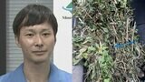【ごみ清掃芸人】 「夏に向けて剪定された枝・葉が多く出ますが、少し乾燥させてくれると助かります」 【マシンガンズ滝沢】|TBS NEWS DIG