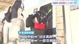「カブトムシつかまえる」帰省ラッシュピークに 東海道新幹線・下りきょう(9日)あす午前「ほぼ満席」 空の便 国内線・下り便はきょう 国際線・出国はあすまで混雑ピーク|TBS NEWS DIG