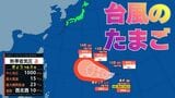 【台風情報】あす（10日）午後3時までに台風に発達する見込み　いつ雨が降る？9日（木）～14日（火）3時間ごと全国の雨風シミュレーション　全国の16日間天気予報【気象庁 9日午後6時更新】　|　岡山・香川のニュース | 天気 | RSK山陽放送