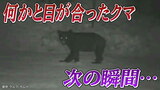 何かと目が合い立ち止まるクマ次の瞬間…“モンスター”は工事現場で鋭くにらみ効かせる 宮城|TBS NEWS DIG