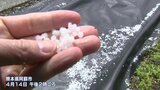 熊本県内各地で「ひょう」県内では15日夕方にかけて降るおそれ 落雷・竜巻にも注意 気象台発表 | 熊本のニュース|RKK NEWS|RKK熊本放送