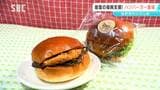 能登の復興支援を!長野高校の文化祭でオリジナルバーガーを販売 「金沢カレーカツバーガー」28日からの一般公開で限定発売 売り上げの一部を寄付|TBS NEWS DIG