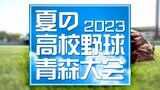 夏の高校野青森県大会が開幕 青森商業×三沢 3時間の熱戦・軍配は|TBS NEWS DIG