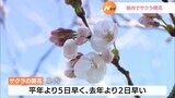 「6輪開花が確認できました」 静岡地方気象台がサクラ開花宣言 標本木のソメイヨシノが春告げる＝静岡県|TBS NEWS DIG