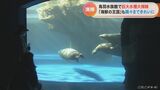 水族館で年末の大掃除 アザラシなど海獣が暮らす大水槽 水を吹きつけてピカピカに 三重 | 名古屋・愛知・岐阜・三重のニュース【CBC news】 | CBC web