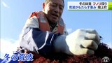 「荒波が恵みに」冬の海岸で『フノリ』の摘み採り始まる　腰に下げた網いっぱいに　初日は240キロ！|TBS NEWS DIG
