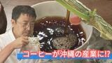 「コーヒー栽培を沖縄の産業に」農家と研究員がタッグを組んで、目指すはハワイのコナコーヒー|TBS NEWS DIG