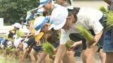 「田植え」特別授業　農業学ぶ高校生と小学生が苗植え　大分　|　大分のニュース｜OBS NEWS｜大分放送