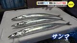  「例年になく小ぶりで高値」 秋の味覚サンマ　９月の広島市中央卸売市場　|　RCC NEWS | 広島ニュース | RCC中国放送