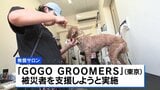 無償でトリミングも　被災したペットを支援する動き広がる　熊本地震の発生から4週間|TBS NEWS DIG