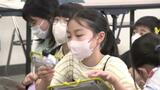 エアコンが効いていない教室は「サウナみたい」 身の回りの“暑さ指数”で熱中症の危険度を測ろう | 愛媛のニュース - Nスタえひめ|あいテレビは6チャンネル