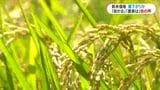 【コメ価格】「新米」は値下がり見込み　過去最高値4865円→仮に2割安くなっても3900円　「安くなってほしいけど農家のことを考えると…」　|　鹿児島のニュース｜MBC NEWS｜南日本放送