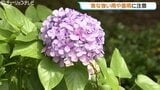急な強い雨や落雷に注意 日中は夏日で熱中症リスクも 富山 | 富山のニュース|天気・防災|チューリップテレビ