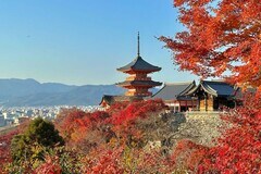 京都旅行を楽しむ秘訣－ガイドを雇って知られざる名所へ| TBS CROSS DIG with Bloomberg