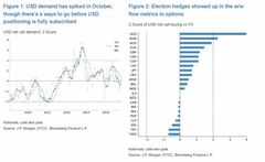 米大統領選近づきドル需要急増、強気続く見通し－ＪＰモルガン| TBS CROSS DIG with Bloomberg