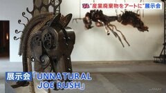 産業廃棄物をアートに昇華　イギリス・ロンドン“不”自然史博物館　エンジンは昆虫に、弾薬は馬のたてがみに| TBS CROSS DIG with Bloomberg