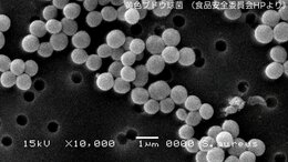 【食中毒予防】「つけない・増やさない・やっつける」“菌は2時間で食中毒レベルまで増殖” 家庭でできる対策とは?|TBS NEWS DIG