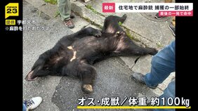 宇都宮のクマ捕獲「難しい任務だった」麻酔銃3発のうち1発が命中 周辺では“2頭目”の出没警戒…市立の小中学校は引き続き臨時休校【news23】|TBS NEWS DIG