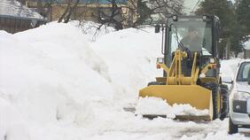 朝からショベルに10時間…「本当に正月も何もない」連日大雪の青森 農作物に被害が及ぶ可能性があり県が農園で現地調査 園地の人から悲鳴|TBS NEWS DIG