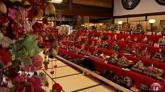 ひな人形約600点・つるし雛160点を展示 3月3日は「桃の節句 ひな祭り」 青森県八戸市で「ひなまつり展」開催|TBS NEWS DIG