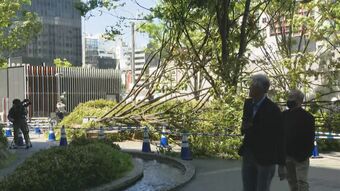ＪＲ博多駅前のケヤキの木が倒れる　強風の影響か　宗像では５月の観測史上1位の最大瞬間風速　|　ニュース | RKBオンライン
