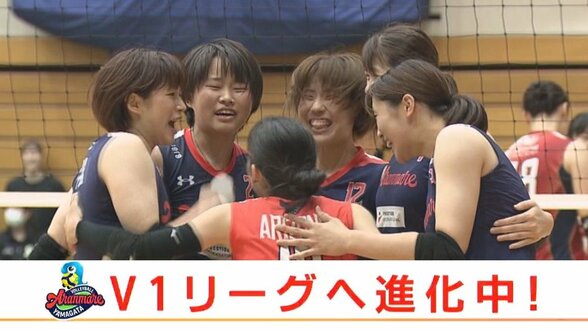 「最後の最後は楽しむ」バレーボール女子 アランマーレ V1リーグへ向け進化中! | 山形のニュース│TUYテレビユー山形