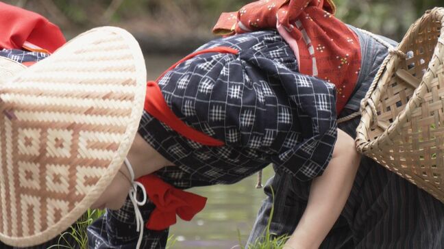 伝統を紡いで40回目　岐阜･白川郷「田植え祭り」でよみがえる日本の原風景　“合掌造り”を背に昔ながらの田植え再現|TBS NEWS DIG