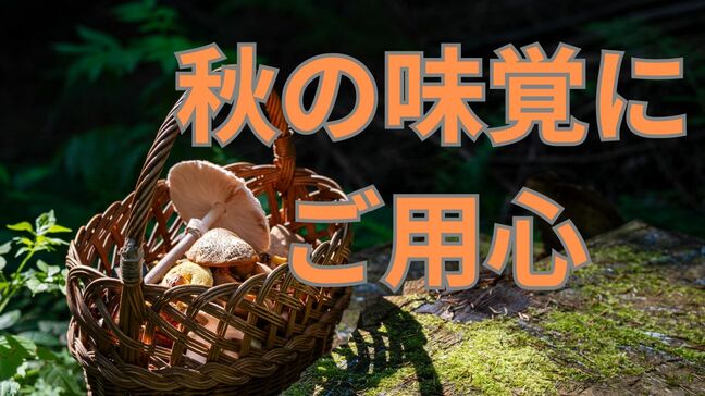 「そのキノコ 大丈夫?」秋の味覚にご用心【キノコ狩り・山菜採りに出かけるまえに確認しよう】|TBS NEWS DIG
