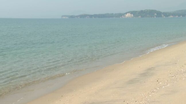 大分県内の海水浴場9か所、水質に問題なし　5か所で最高ランク『AA』|TBS NEWS DIG