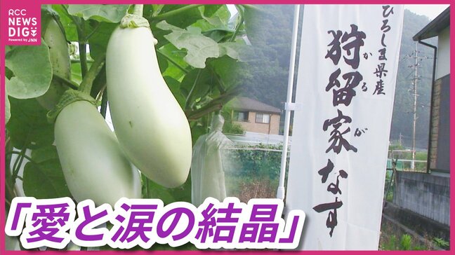 特産「狩留家なす」から広がる地域の夢　芸備線の駅にレストラン構想も　広島市安佐北区　|TBS NEWS DIG