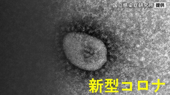 新型コロナウイルス感染者数 4週ぶりに減少 引き続き感染対策を 宮城|TBS NEWS DIG