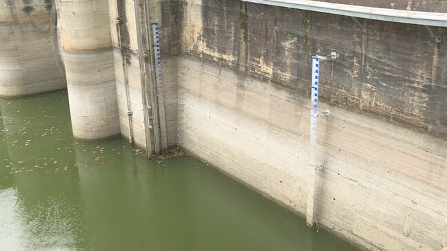 厚東川水系ダム 水位低下で工業用水を自主節水 山口・宇部|TBS NEWS DIG
