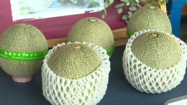 ブランド化目指す「今治メロン」 180個が数時間で完売!|TBS NEWS DIG