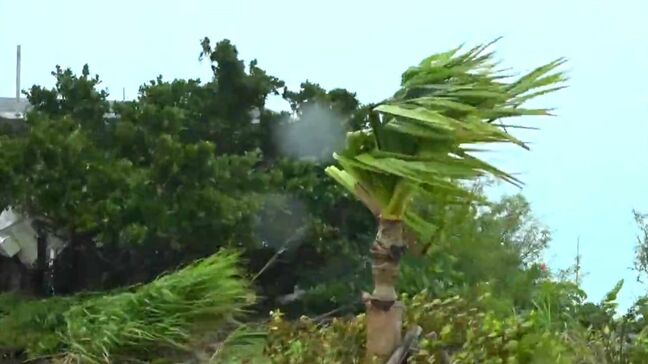 台風6号　奄美地方は夕方に暴風域　九州南部が梅雨入り|TBS NEWS DIG