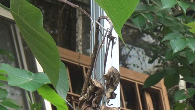 「侵入した空き家に大金事件」に新展開　盗まれた債券を55万円で買い取り1億円あまりに換金した男ら逮捕|TBS NEWS DIG