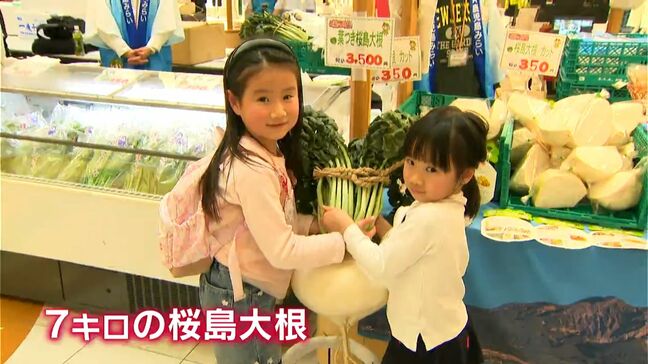 生シイタケ3時間で完売　月日貝や桜島大根が並ぶ「冬のうんまかマルシェ」あす18日まで|TBS NEWS DIG