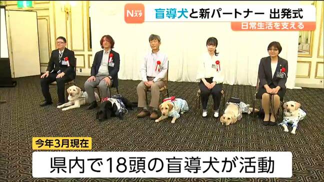 仙台訓練センターの盲導犬5頭がデビュー パートナーと新たな門出を迎える 2日の出発式に盲導犬と各パートナーらが出席|TBS NEWS DIG