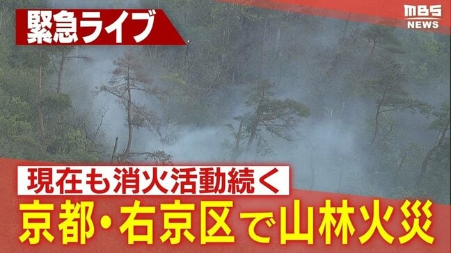 【速報】金閣寺の北西部の山林で火災発生「白い煙が上がっている」6万平米消失か…ヘリ出動し消火活動 京都・右京区|TBS NEWS DIG