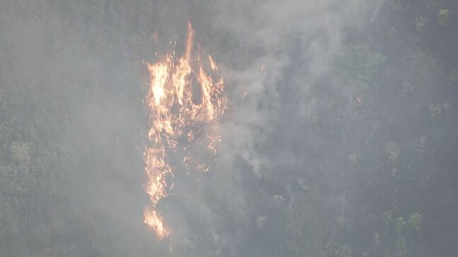【速報】三重･津市で山林火災 延焼中 激しく燃える様子も… ｢山から煙が上がっている｣と通報 美杉町下之川の山林|TBS NEWS DIG