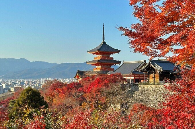 京都旅行を楽しむ秘訣－ガイドを雇って知られざる名所へ