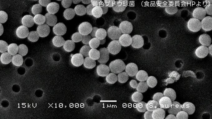 【食中毒予防】「つけない・増やさない・やっつける」“菌は2時間で食中毒レベルまで増殖” 家庭でできる対策とは？　|　熊本のニュース｜RKK NEWS｜RKK熊本放送